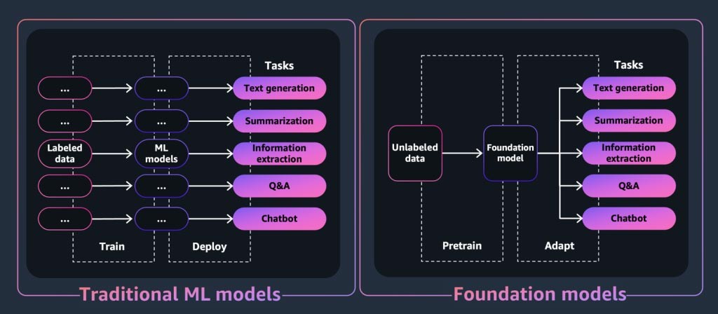 Figure 3: Demonstrates the difference between a traditional ML model and a foundation model.