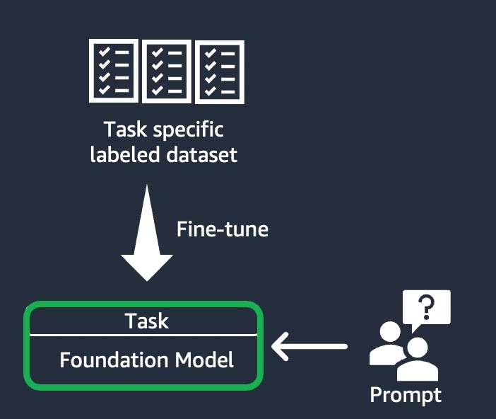 Figure 5: The instruction-based fine-tuning workflow.