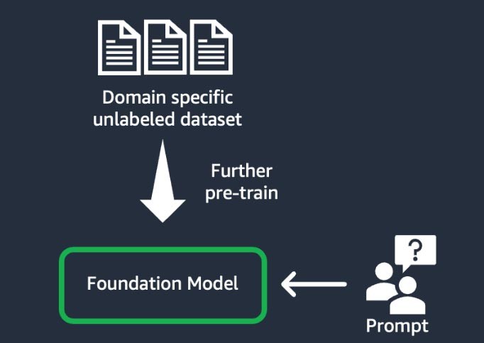 Figure 6: The domain adaptation workflow.